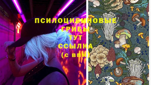 тгк Медногорск