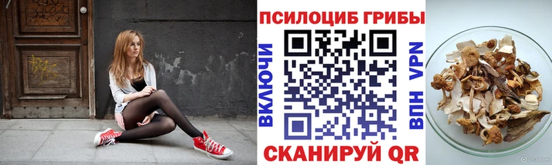 Псилоцибиновые грибы Magic Shrooms  даркнет состав  Серпухов 