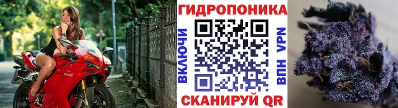 гидра как зайти  Серпухов  Бошки марихуана сатива 